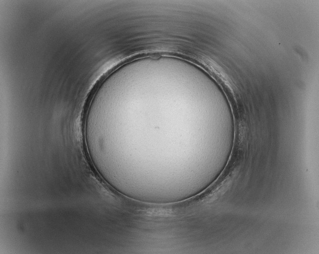 X0000116860789201001051424