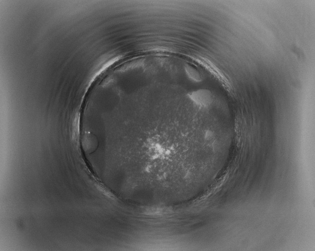 X0000116860790201001051424