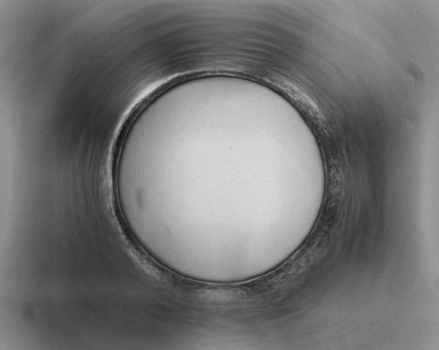 X0000116860792201001051424