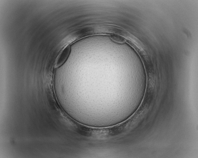 X0000116860793201001051424