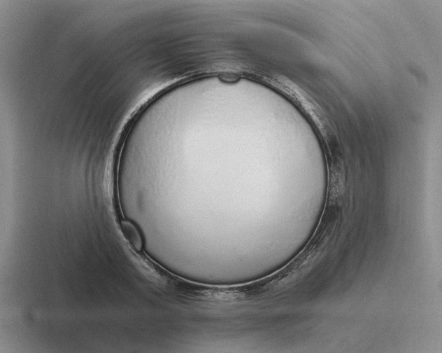 X0000116860795201001051424