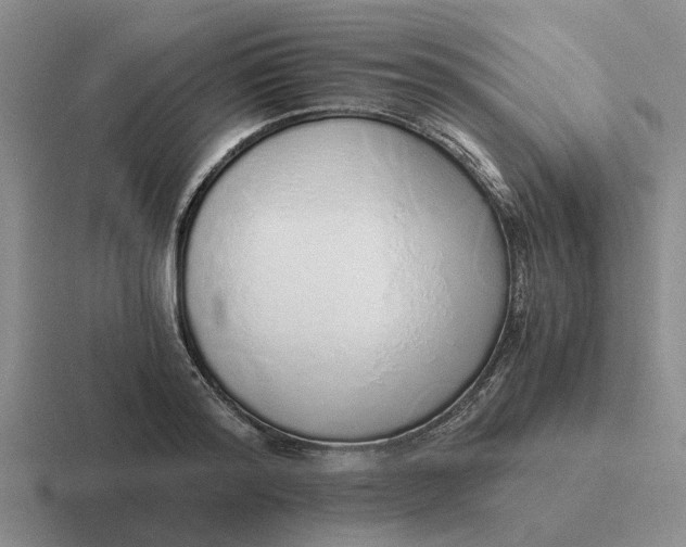 X0000116860796201001051424