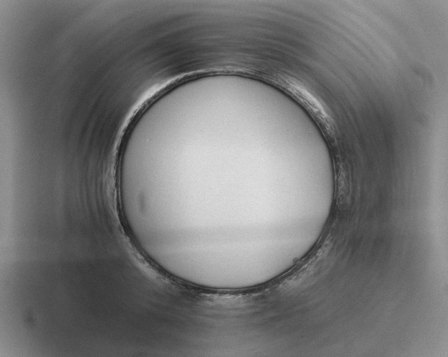 X0000116860800201001051424