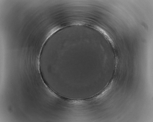 X0000116860802201001051424