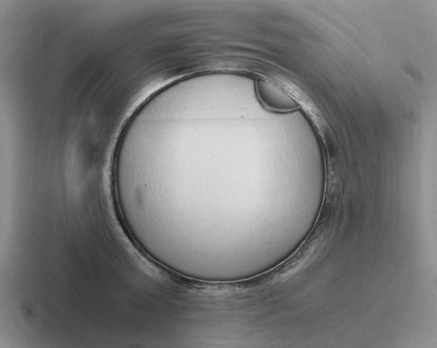 X0000116860803201001051424