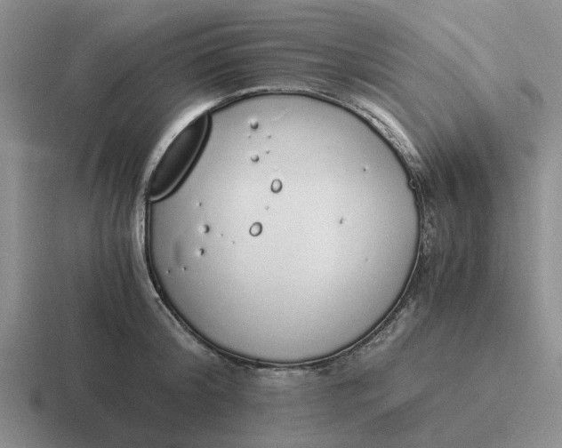 X0000116860804201001051424