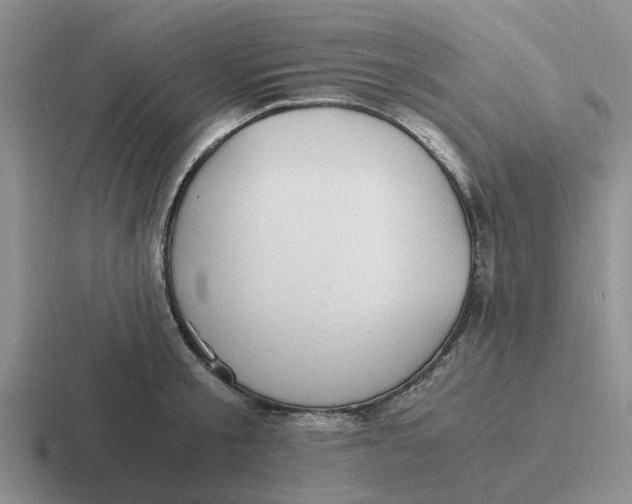 X0000116860805201001051424