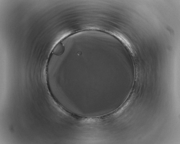 X0000116860806201001051424