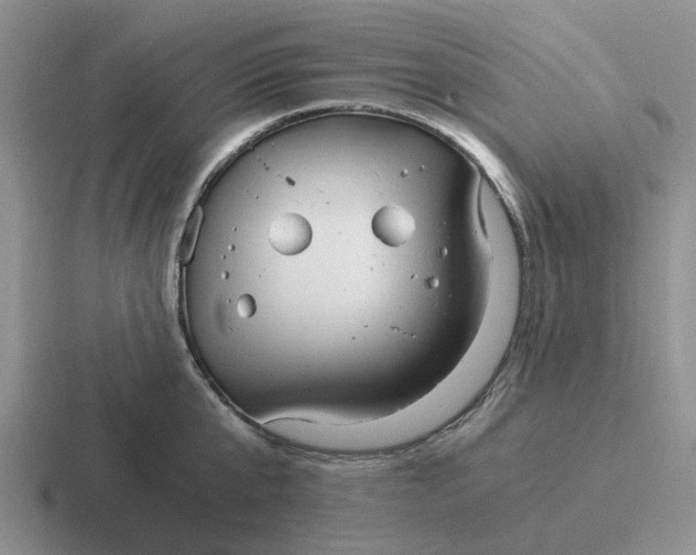 X0000116860807201001051424