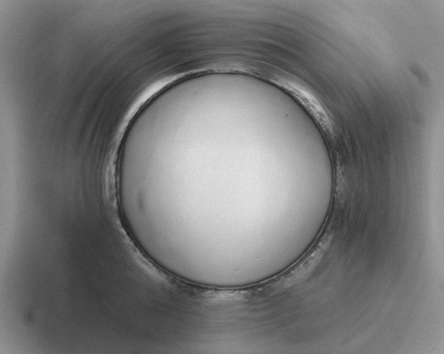 X0000116860808201001051424