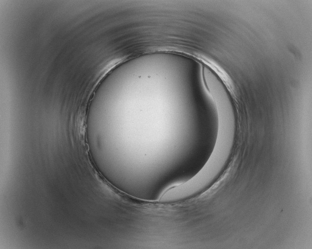 X0000116860809201001051423