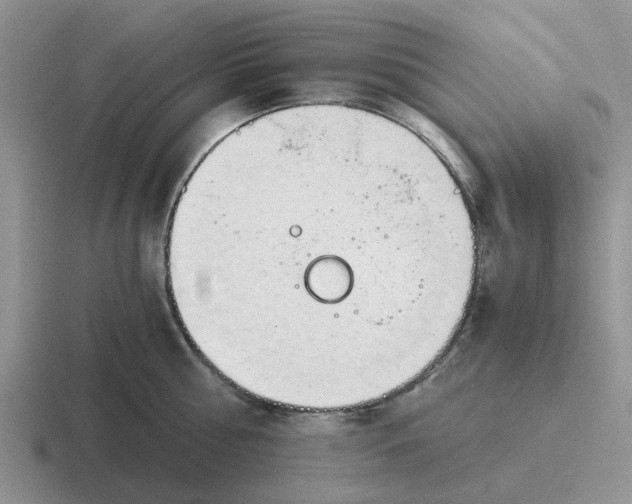 X0000116860810201001051423