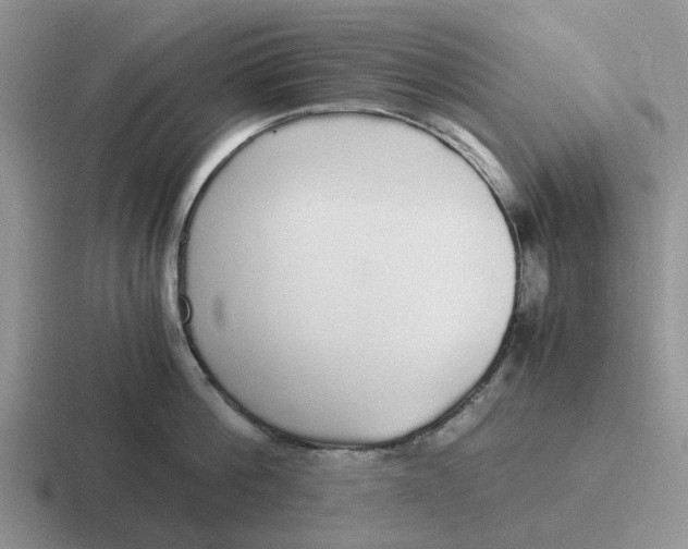 X0000116860812201001051423