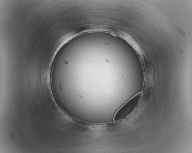 X0000116860813201001051423