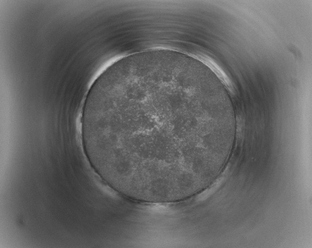 X0000116860814201001051423