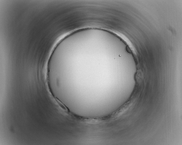 X0000116860815201001051423