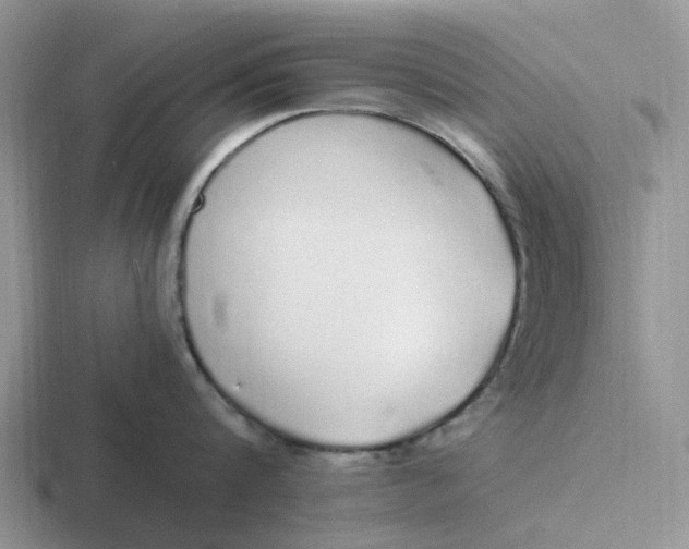 X0000116860816201001051423