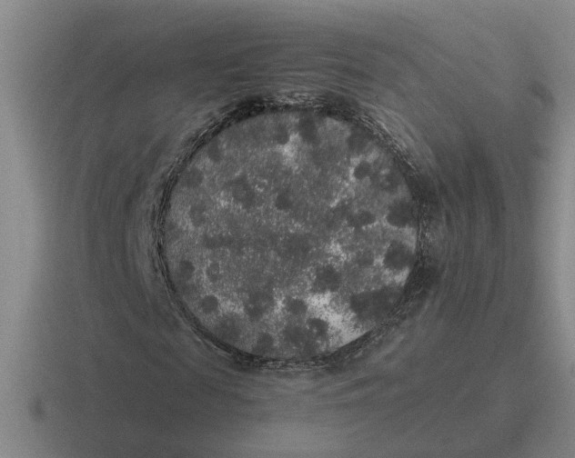 X0000116860817201001051423