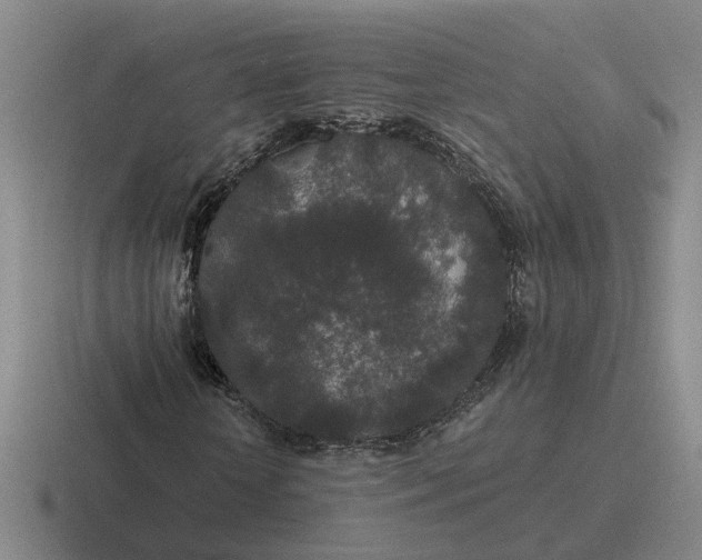 X0000116860818201001051423