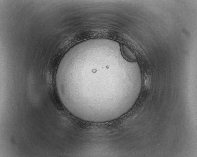 X0000116860819201001051423