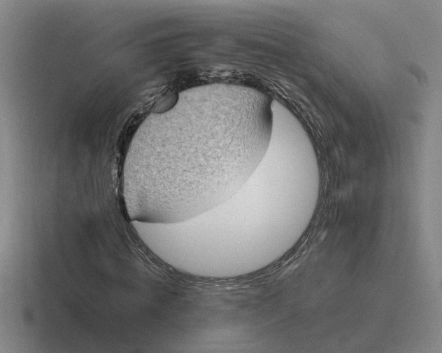 X0000116860820201001051423