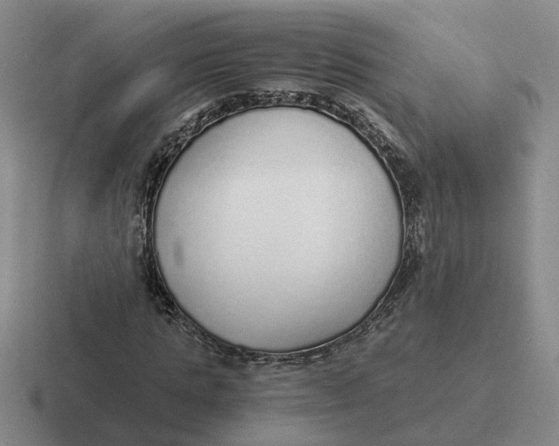 X0000116860821201001051423