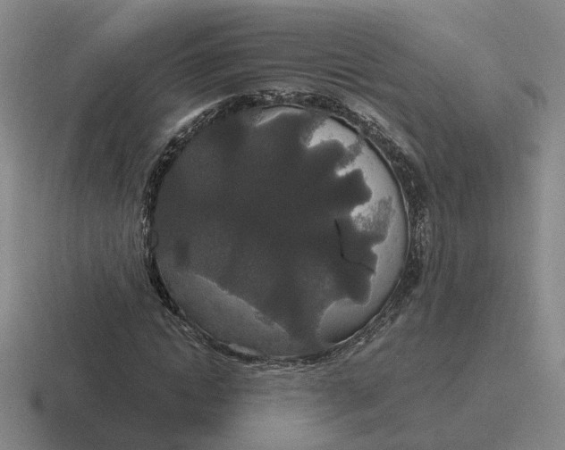 X0000116860822201001051423