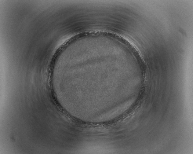 X0000116860823201001051423