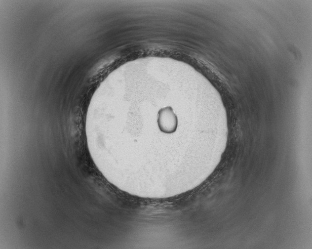 X0000116860824201001051423