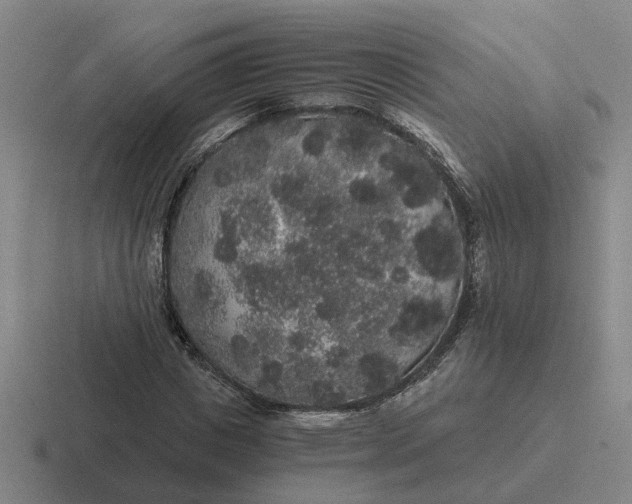 X0000116860825201001051423