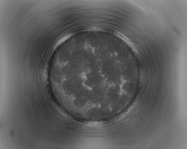 X0000116860826201001051423