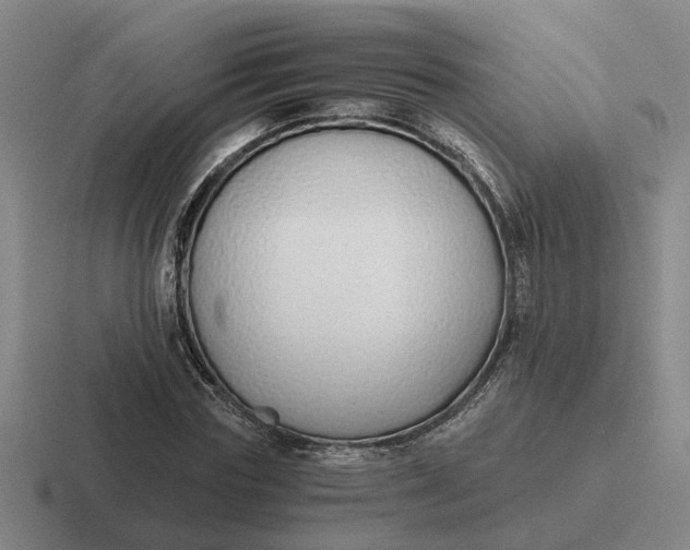 X0000116860827201001051423