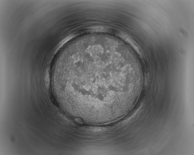 X0000116860829201001051423