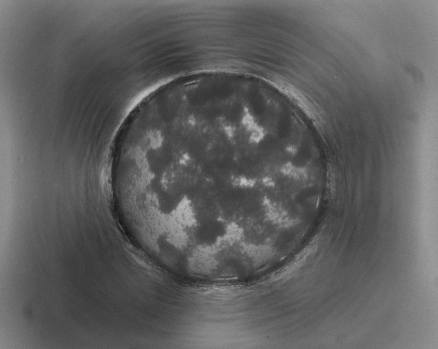 X0000116860830201001051423