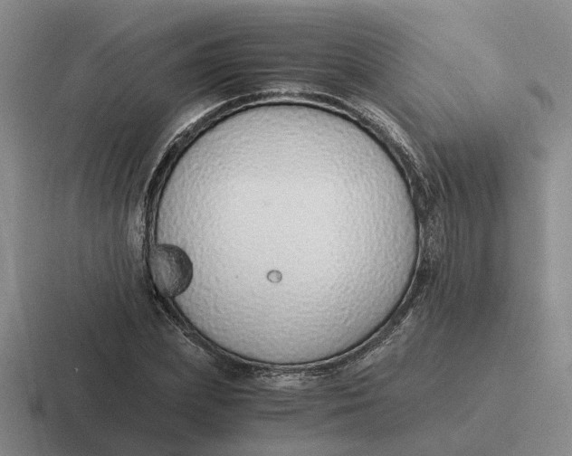 X0000116860831201001051423