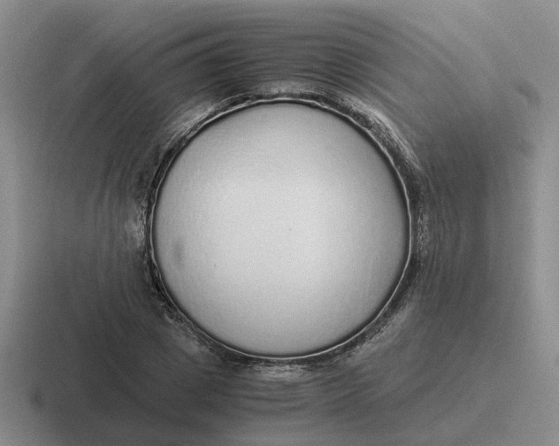 X0000116860833201001051423