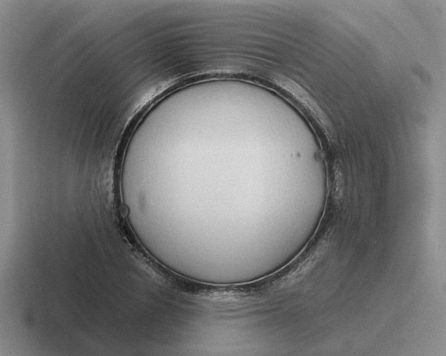 X0000116860834201001051423