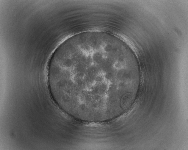 X0000116860835201001051423