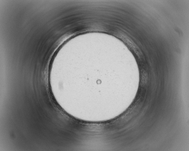 X0000116860836201001051423