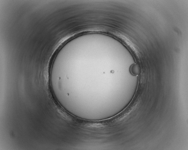 X0000116860837201001051423