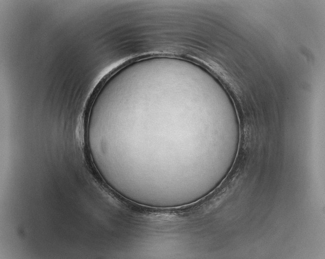 X0000116860838201001051423