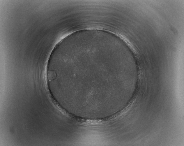 X0000116860840201001051423