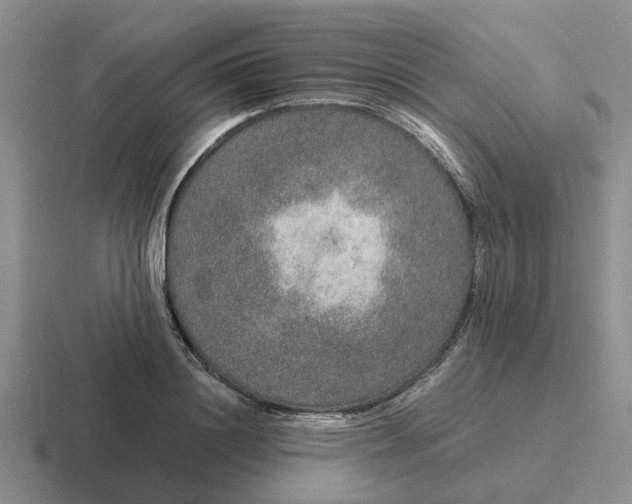 X0000116860844201001051423