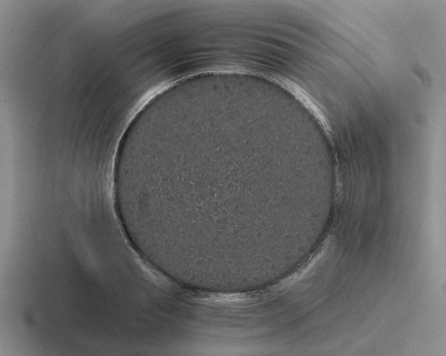 X0000116860845201001051423