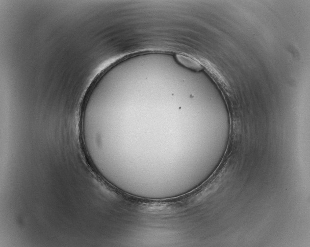 X0000116860846201001051423