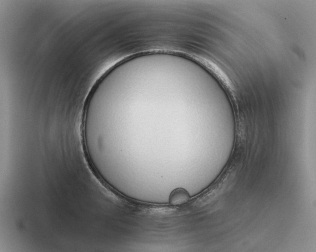 X0000116860847201001051423