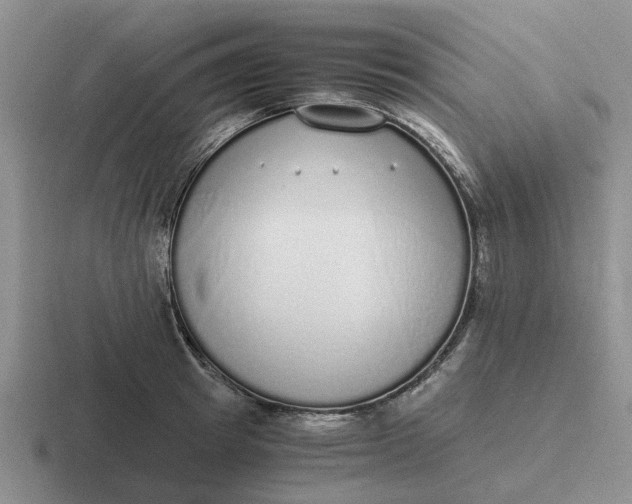 X0000116860849201001051423