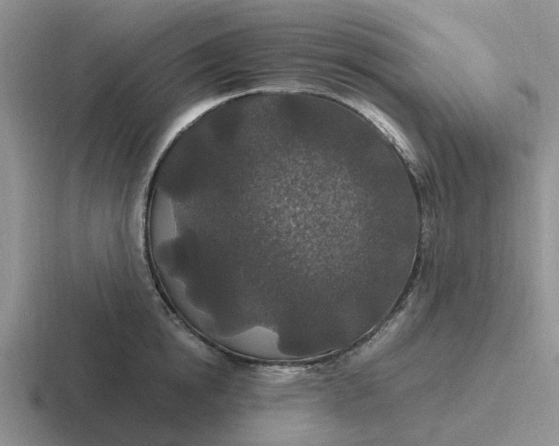 X0000116860854201001051423