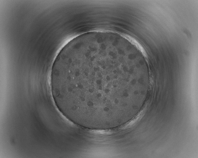 X0000116860855201001051423