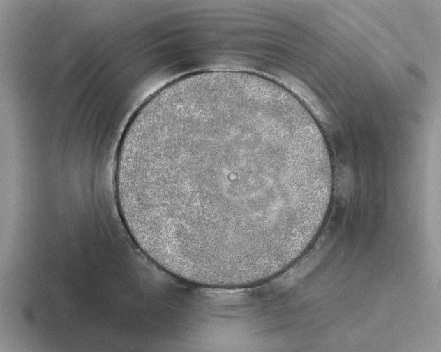 X0000116860856201001051423